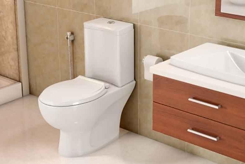 چرا توالت فرنگی برای سلامتی ضرر دارد؟