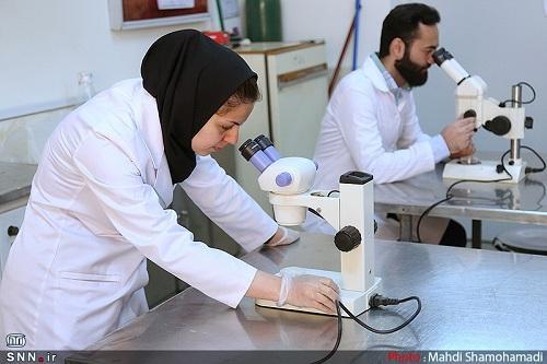 دروس عملی دانشگاه خلیج فارس شهریورماه ارائه می شوند