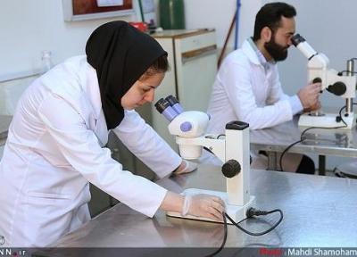 دروس عملی دانشگاه خلیج فارس شهریورماه ارائه می شوند